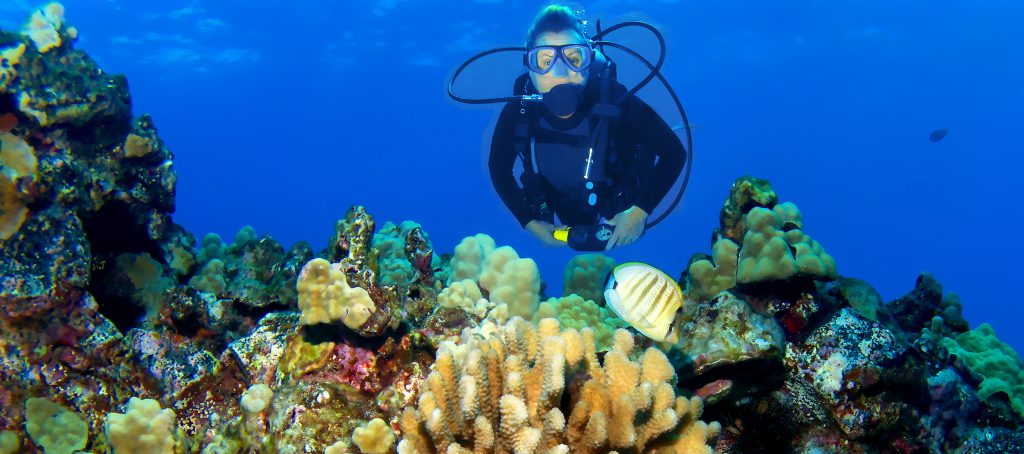 7 Top Dive Sites Around Hawaii�s Big Island