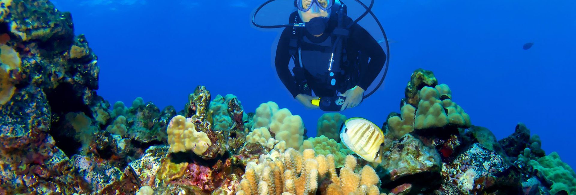9 Top Dive Sites Around Hawaii’s Big Island