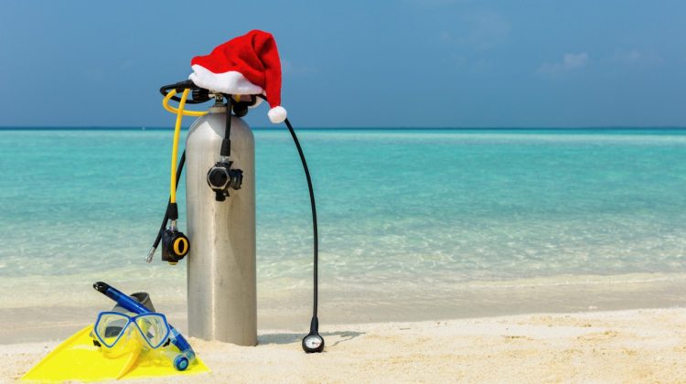 Top Holiday Destinations Scuba Diving