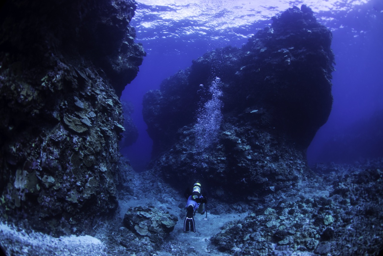 Top Holiday Destinations Scuba Diving Hawaii USA