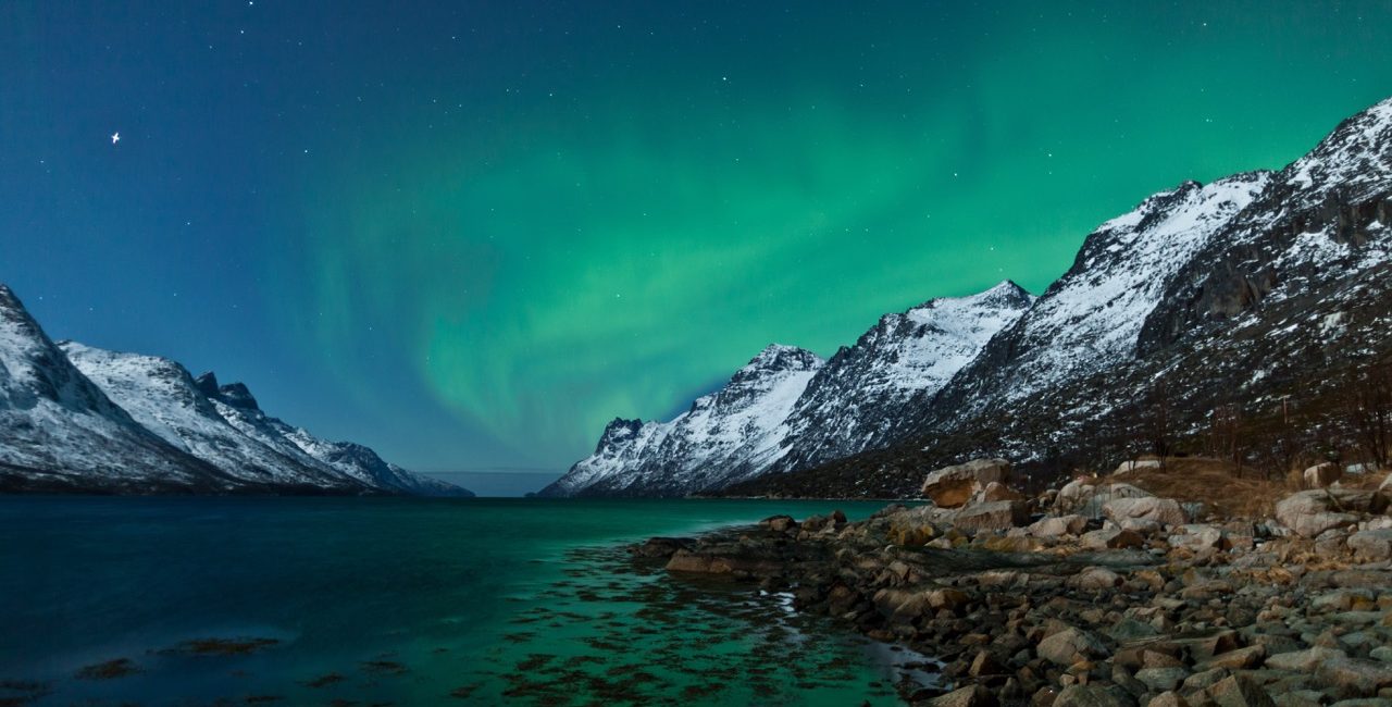 Documenting Arctic Giants in the Fjords of Northern Norway – Part Two