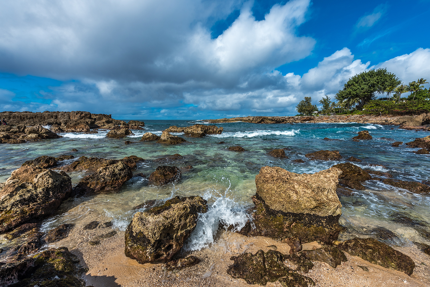 A topside view of Shark's Cove, which is an essential stop if you're scuba diving Oahu North Shore during the summer months