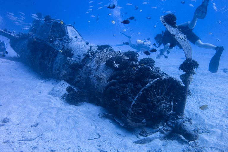 Oahu Diving: 12 Must-See Dive Sites