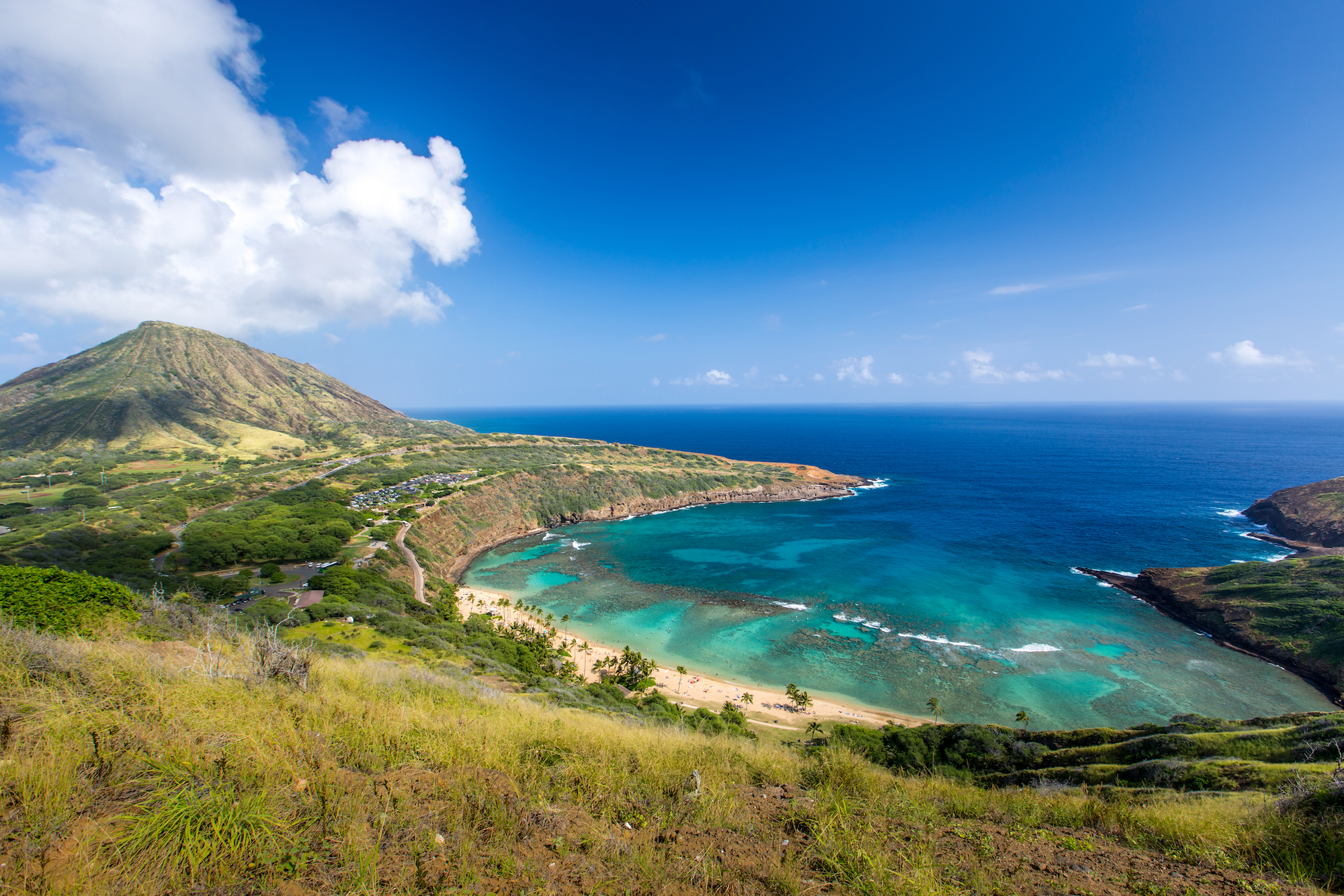 6 Must-See Dive Sites on Oahu
