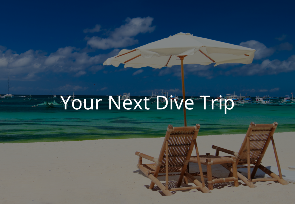 next dive beach trip gift idea scuba diver