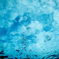 Cold-Water Freediving Header