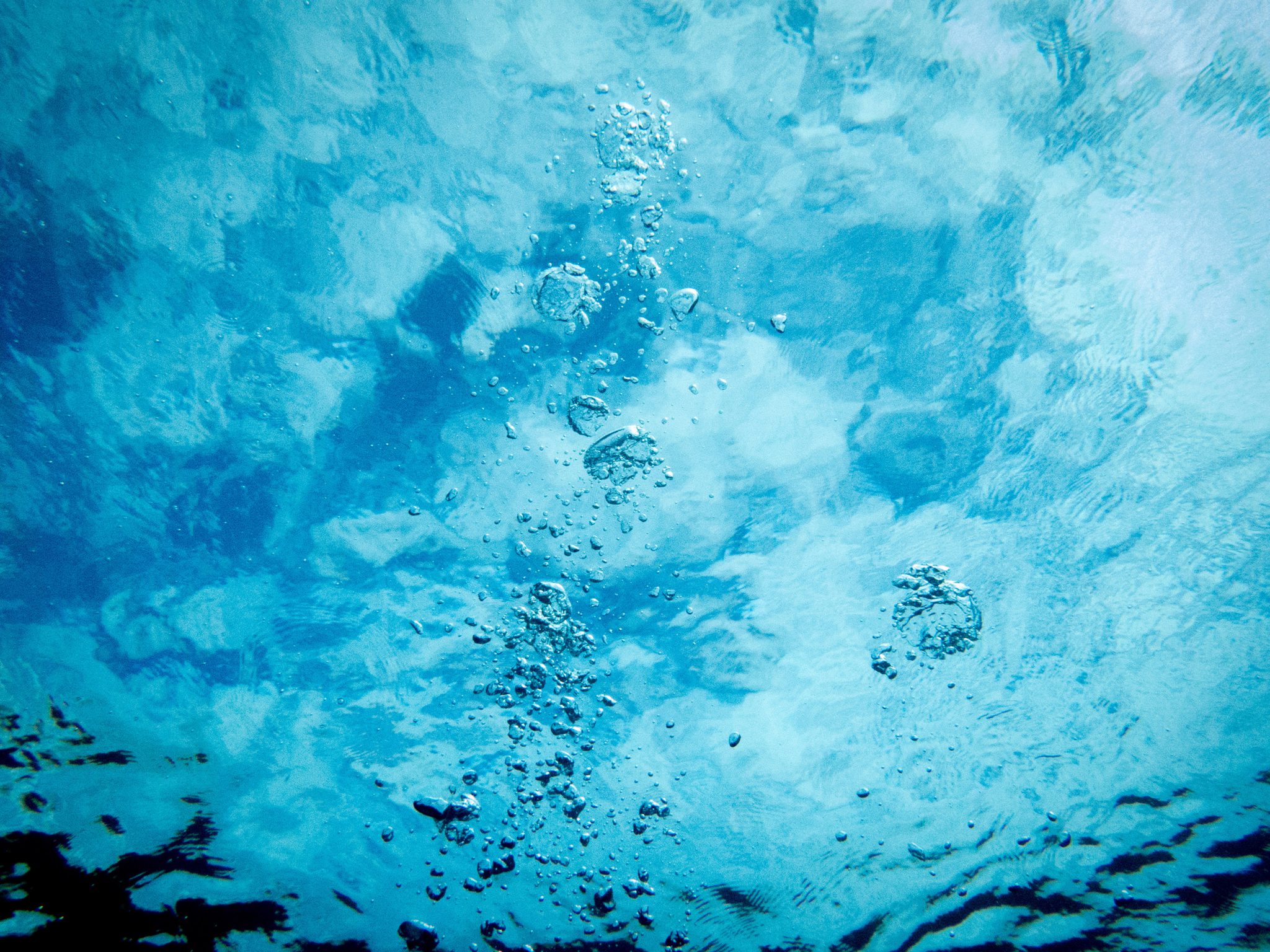 Cold-Water Freediving Header
