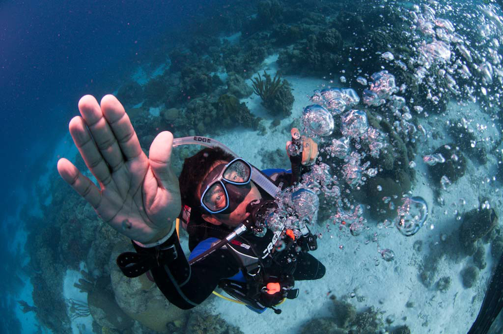 A scuba diver ascends and exhales bubbles that show they're not holding their breath, one of the safety rules of scuba diving