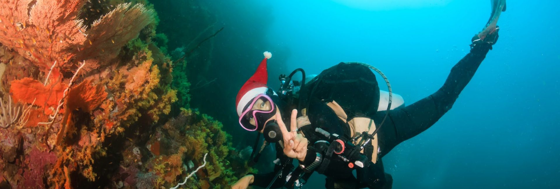 Gifts to Give the Ocean this Holiday Season