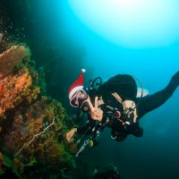 Holiday Diver Shutterstock