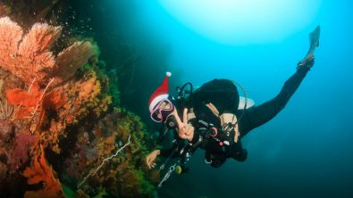 Holiday Diver Shutterstock