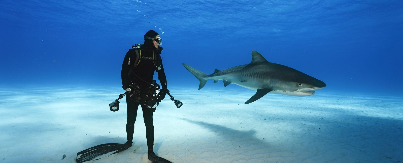 Brian Skerry: The Evolution of an Underwater Explorer