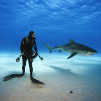 Photo: Brian Skerry
