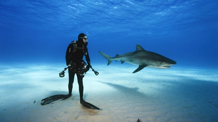 Photo: Brian Skerry