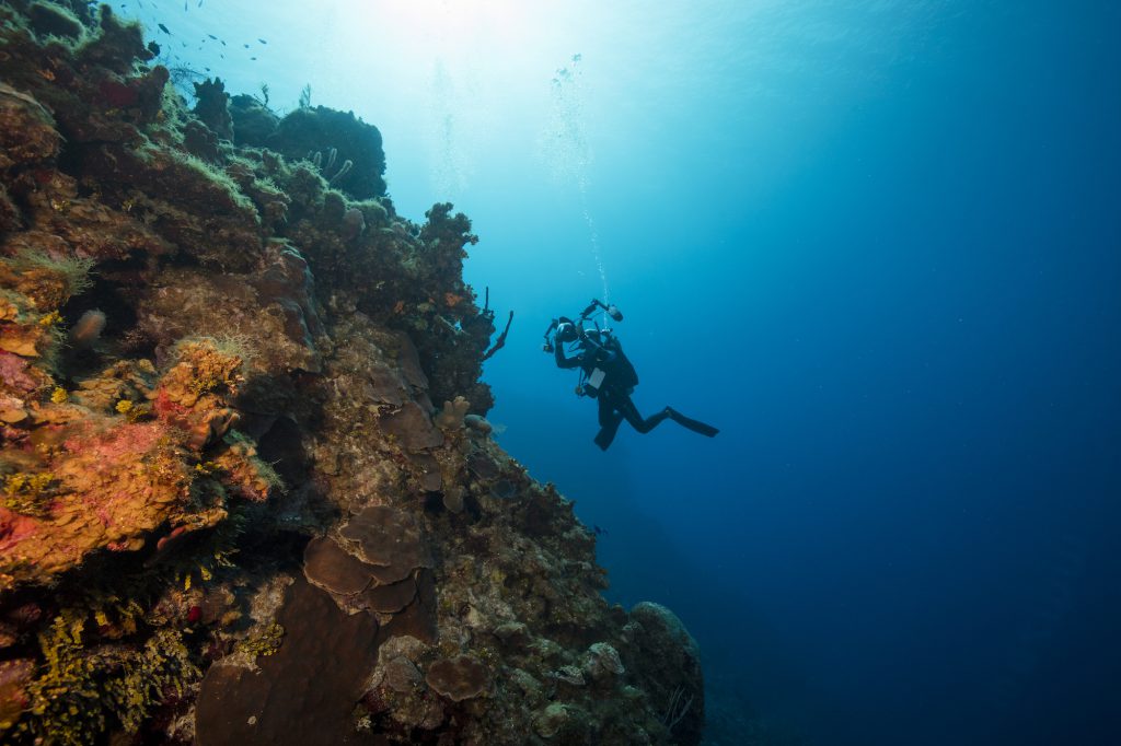 underwater photographer