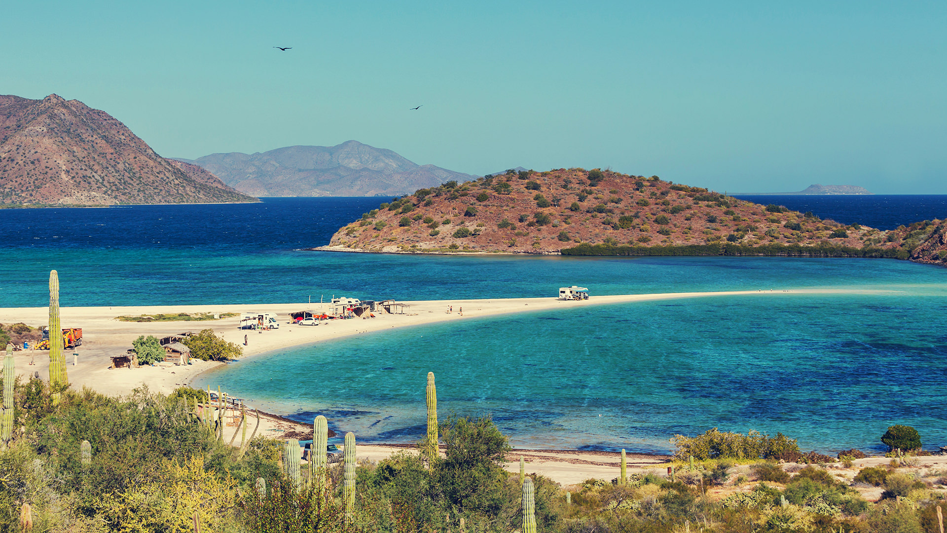 Trending Scuba Diving Destinations 2019 Baja California