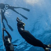 PADI - Freedivers - Ascending -