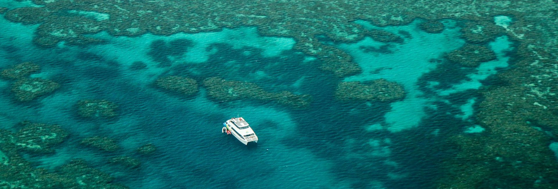 Trending Scuba Diving Destinations for 2019