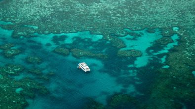 Trending Scuba Diving Destinations 2019