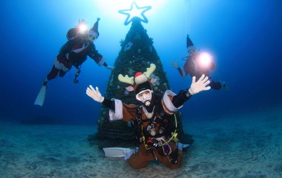 今年も各ダイビングエリアで水中クリスマスツリーがスタート！