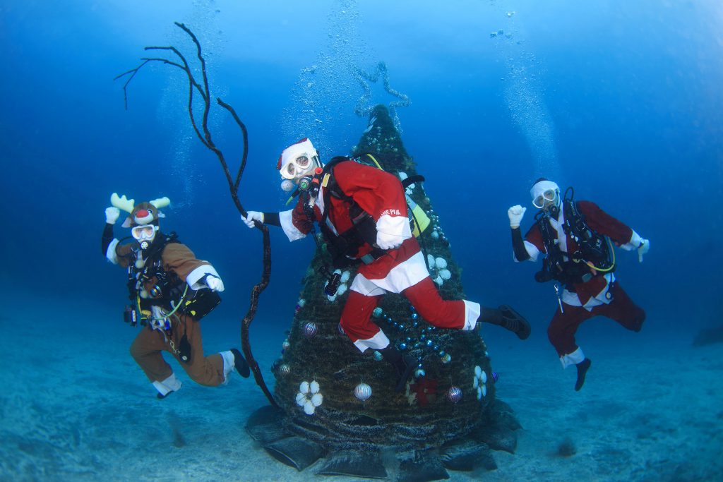 今年も各ダイビングエリアで水中クリスマスツリーがスタート！