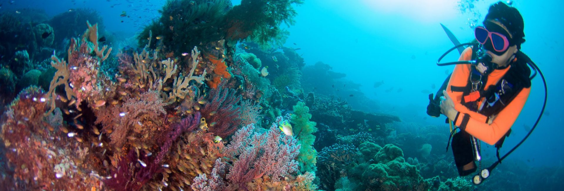 Recognizing Our Ocean Heroes