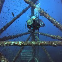 Rebecca Holt - Junior Master Scuba Diver - PADI - Koh Tao