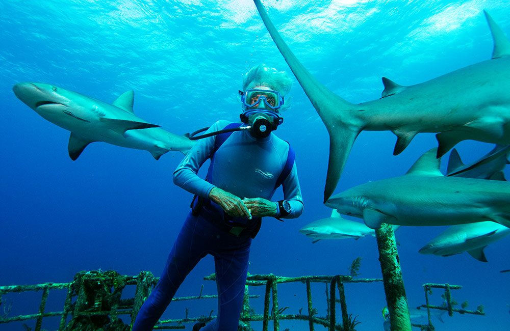 Wonders of the Sea 3D: An Immersive Family Experience with Jean-Michel Cousteau