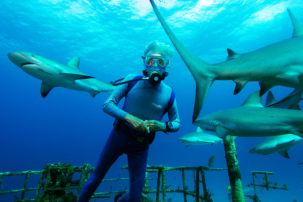 Experience the Wonders of the Ocean, Bahamas Scuba Diving