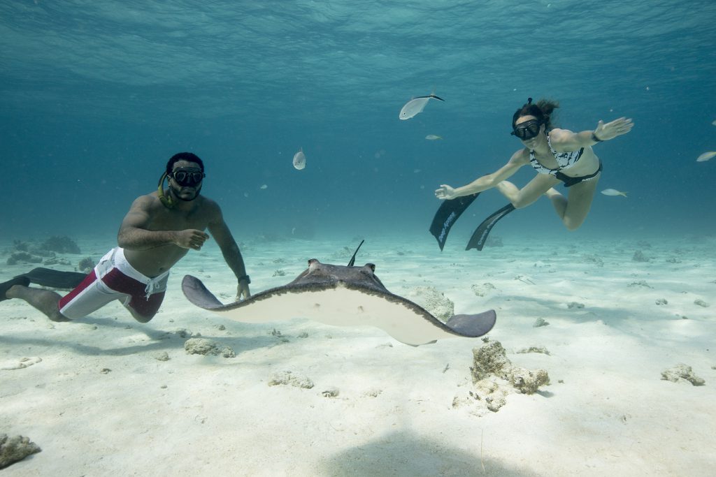 Freedivers underwater