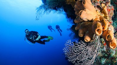 Indonesia Diving for New Divers