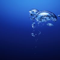Mental Health and Scuba Diving