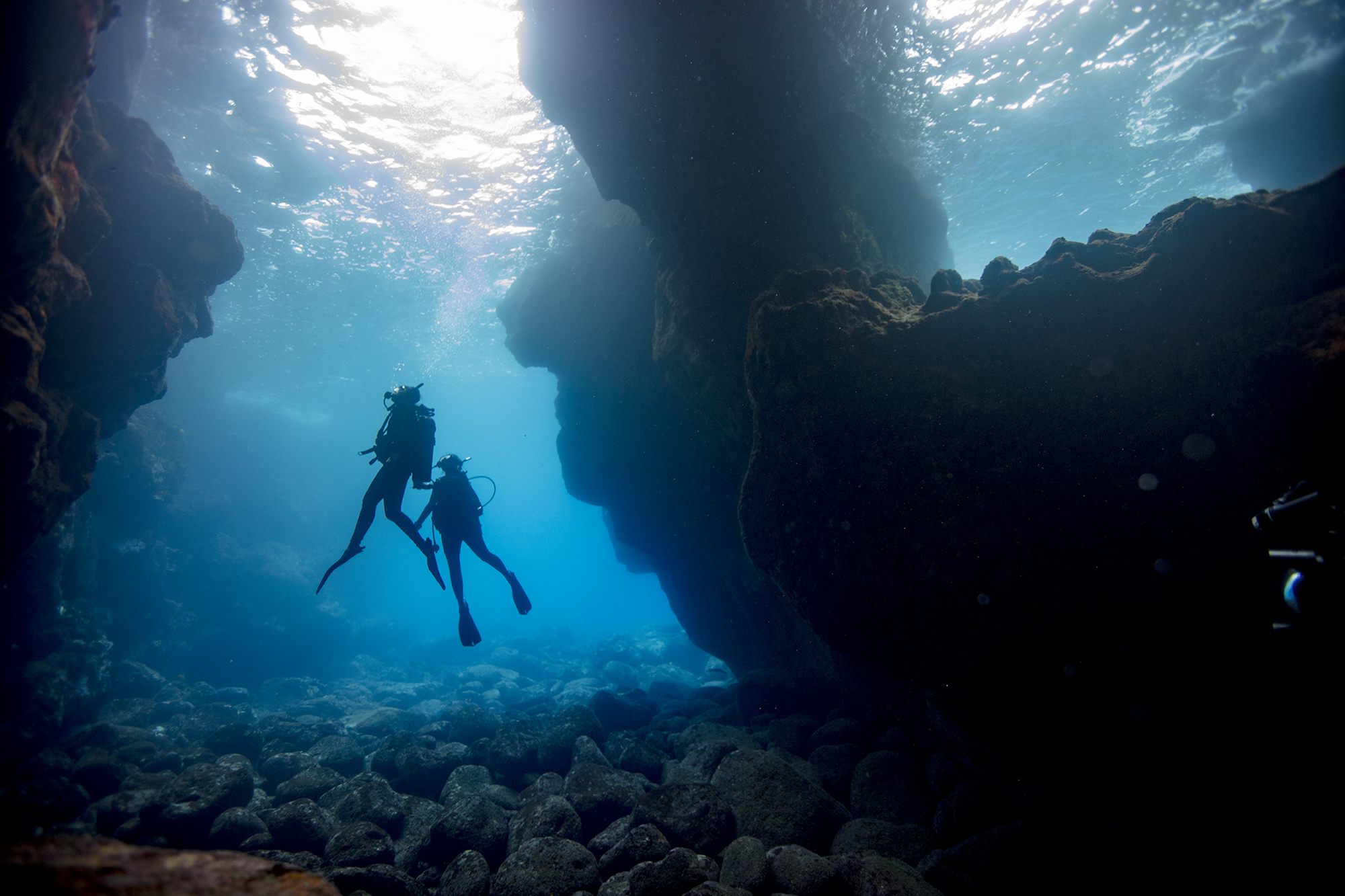 Deux plongeurs explorant le monde sous-marin.