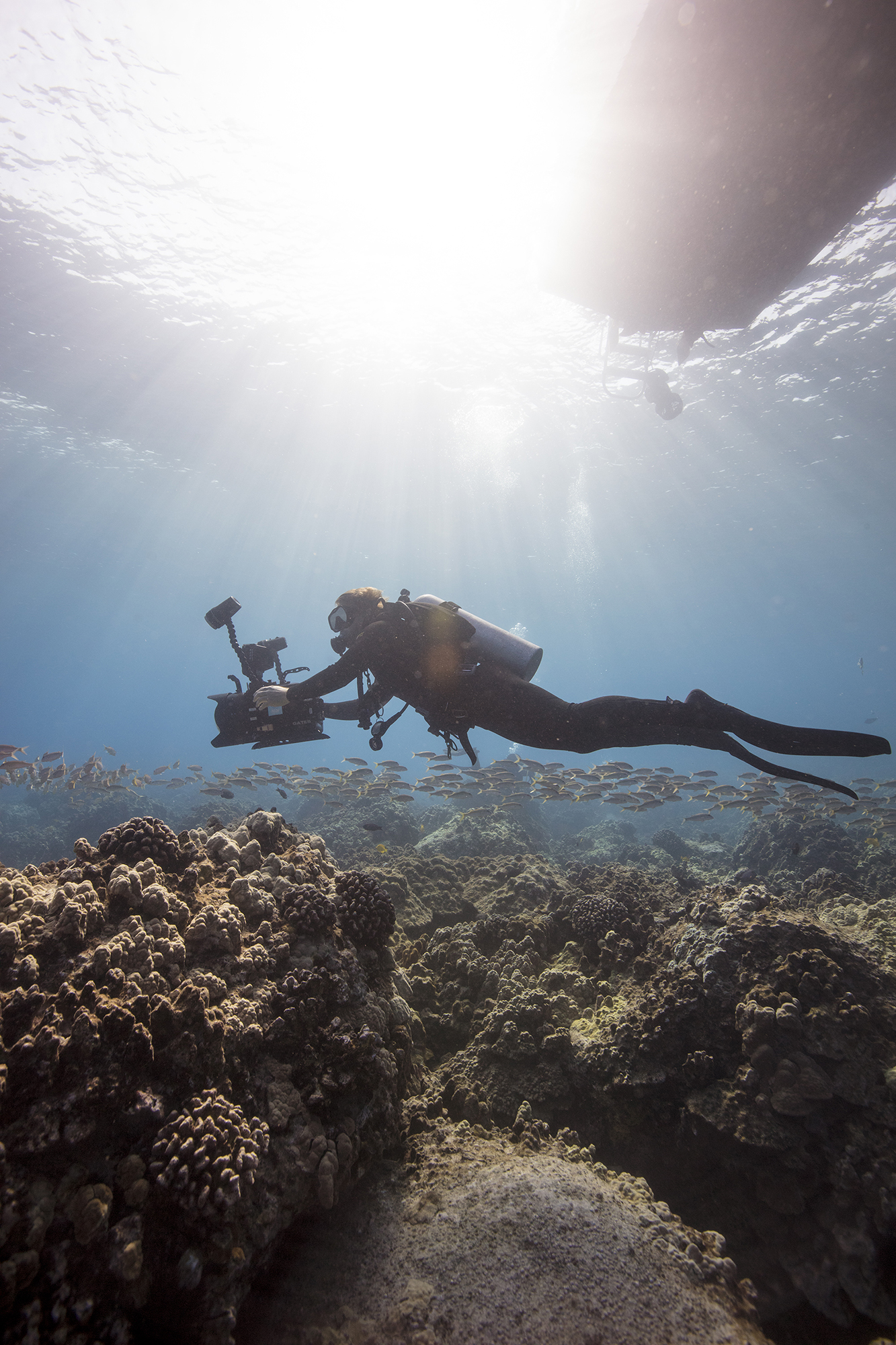 underwater photography