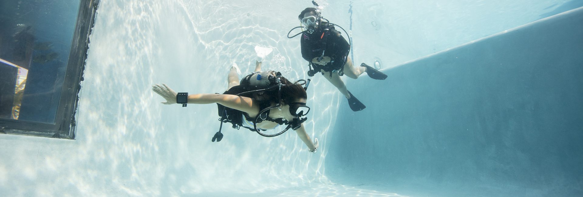 Choose your Next Dive Destination Based on the Skills you want to Improve