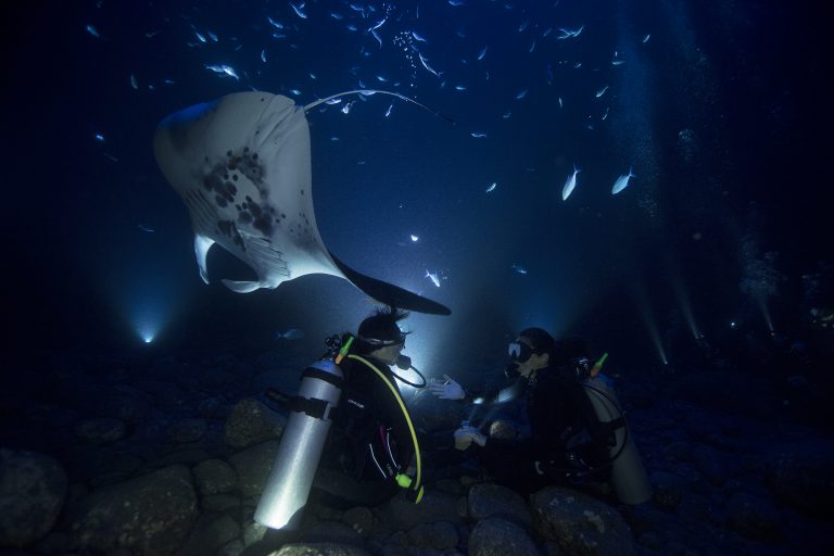 9 Top Dive Sites Around Hawaii's Big Island