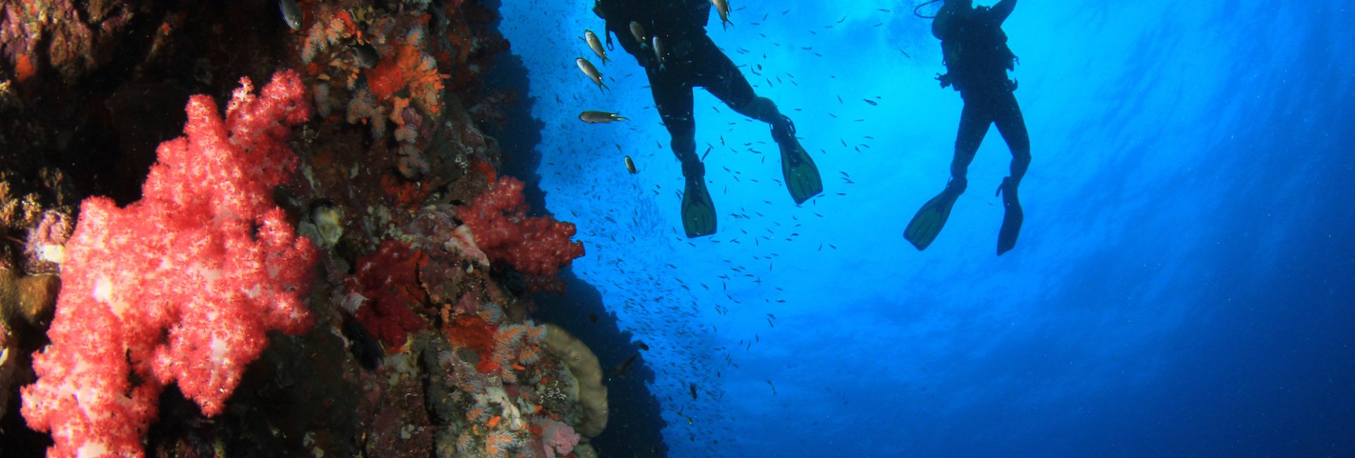 7 Ways to Rekindle Your Love of Scuba Diving