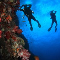 scuba diving love