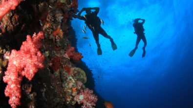 scuba diving love