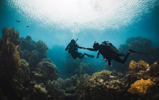 a padi instructor gives a fist bump to a diver underwater in Egypt