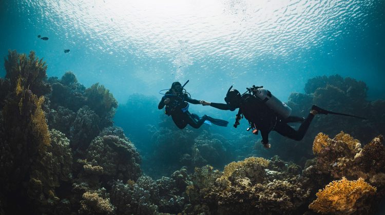 a padi instructor gives a fist bump to a diver underwater in Egypt