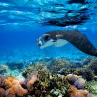 whitsunday islands