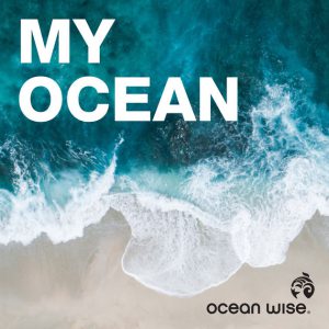 My Ocean Logo