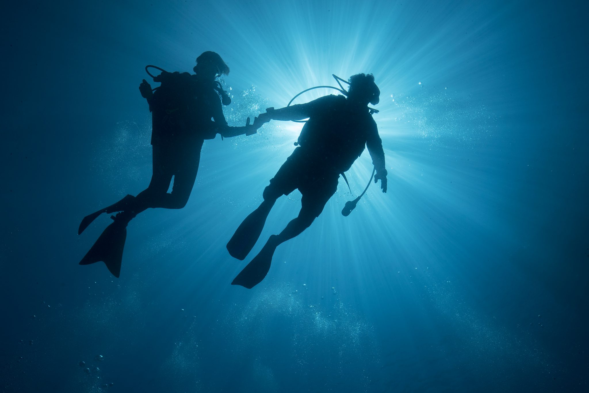 PresidentRemgensau&SylviaEarle_CKipEvans_MissionBlue