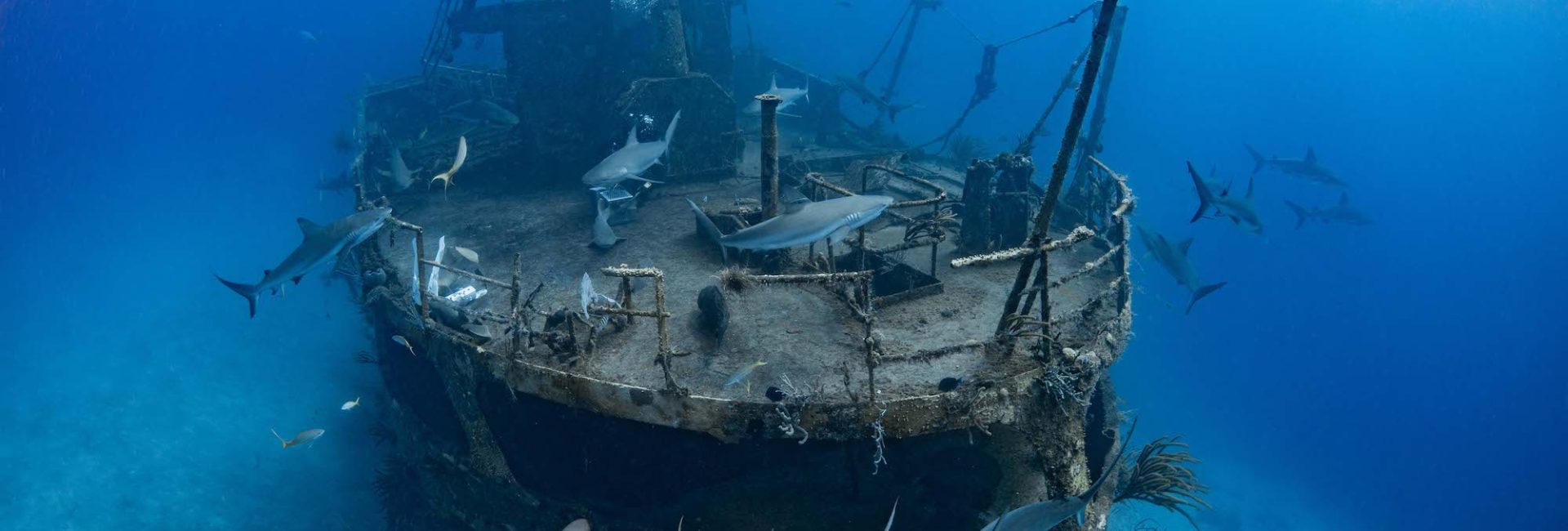 Top 10 Wreck Dives of The Bahamas