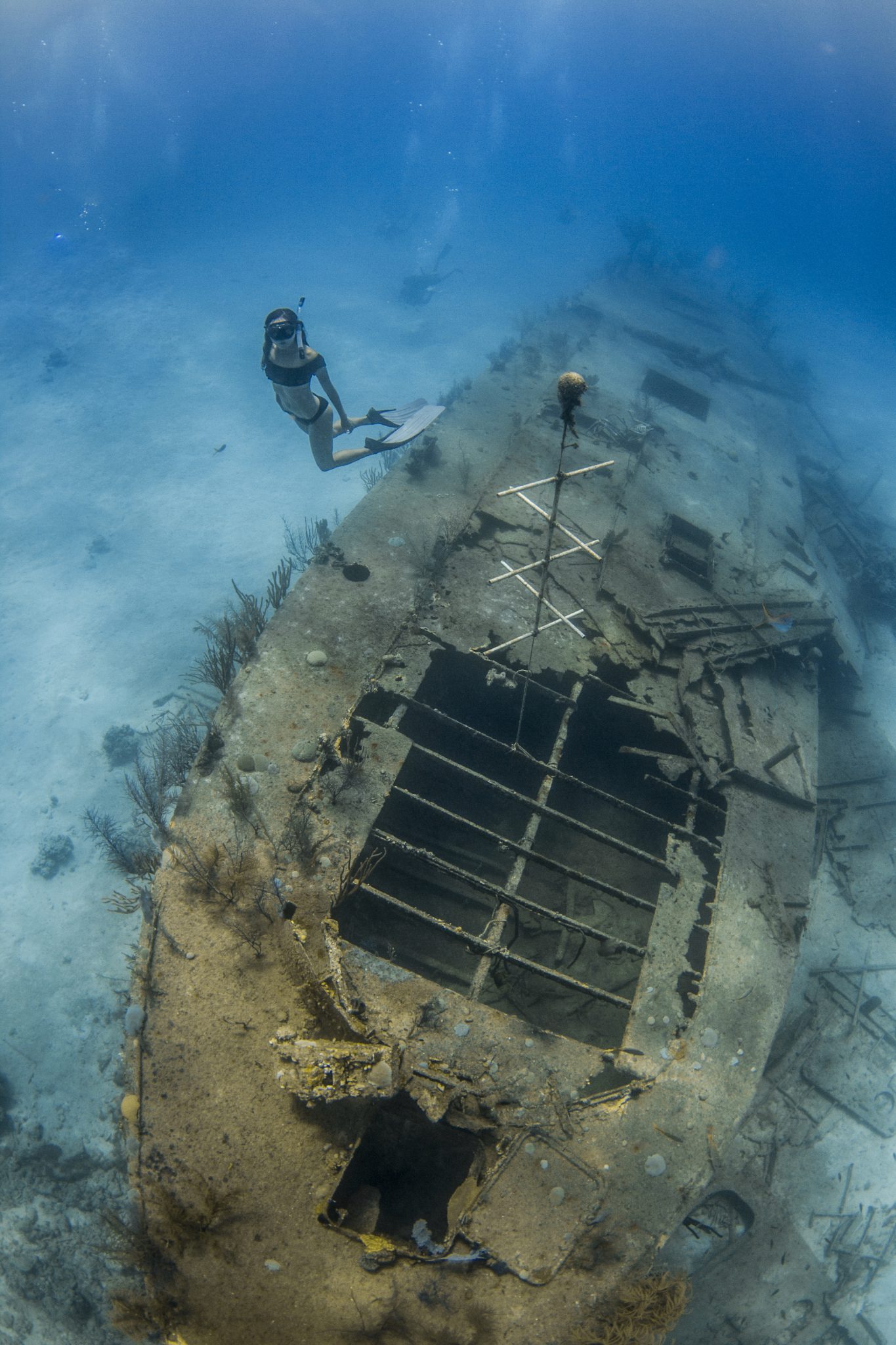 tears of allah wreck bahamas