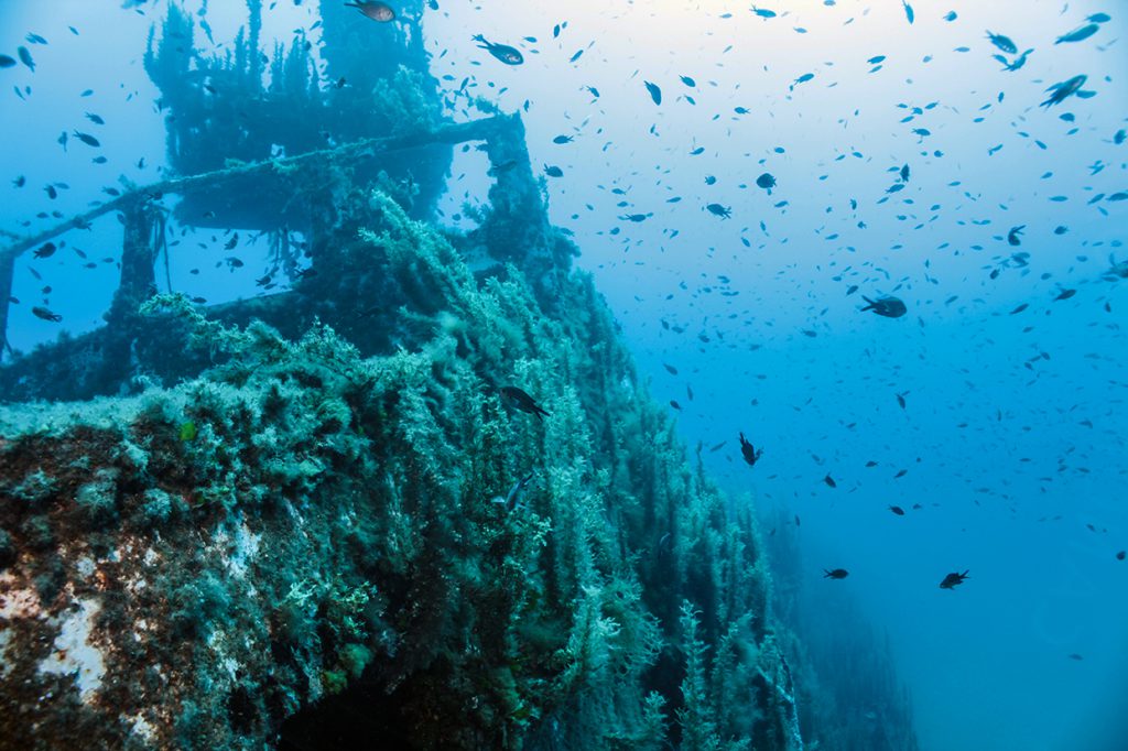 Best freediving spots for wrecks - HMS Maori