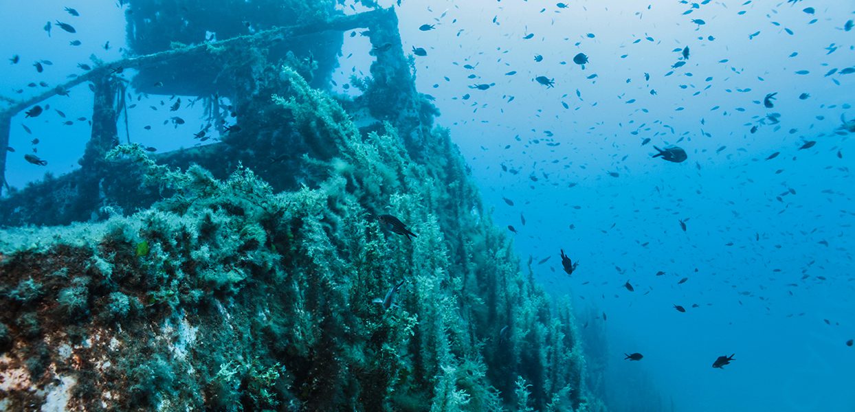 5 อันดับจุดดำน้ำชมซากเรือในพัทยา ประเทศไทย