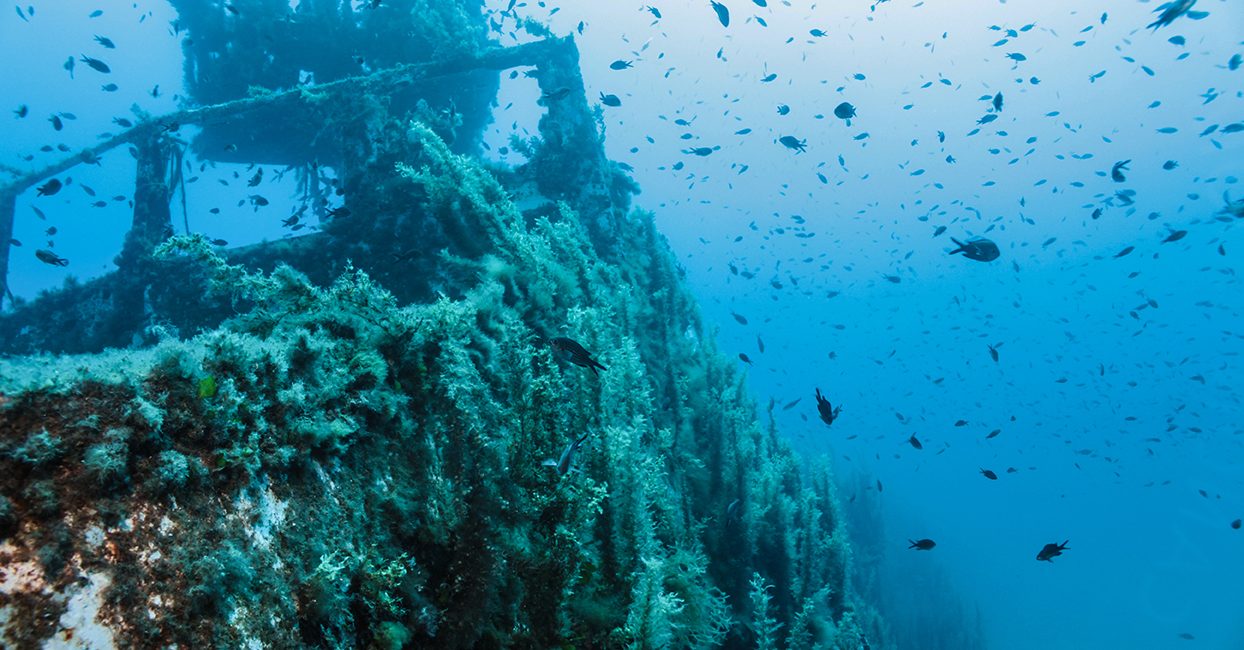 5 อันดับจุดดำน้ำชมซากเรือในพัทยา ประเทศไทย