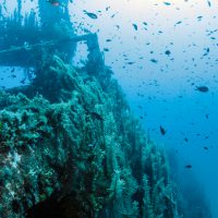 Best freediving spots for wrecks - HMS Maori